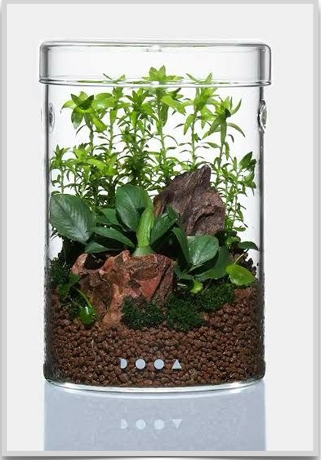 Arium 10