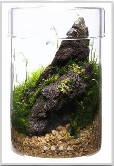 Arium 20